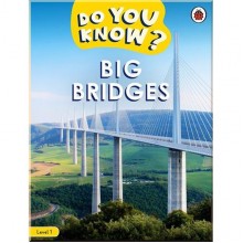 Ladybird Big Bridges