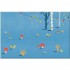 Warne The Tale of Peter Rabbit (Birthday Edition)