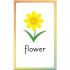 DK Children English for Everyone Junior: English Alphabet Flash Cards
