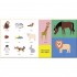 Ladybird A World of Words: My First 100 Words