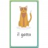 DK Children Italian for Everyone Junior: First Words Flash Cards