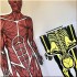 Thames & Hudson Inside the Body: An Extraordinary Layer-by-Layer Guide to Human Anatomy