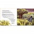 Wide Eyed Editions Whose Habitat is That? Reveal the Animals Hiding Inside Spectacular Pop-ups