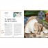 Frances Lincoln Children's Books A World Full of Nature Stories