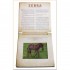 Workman Safari: A Photicular Book