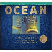 Workman Ocean: A Photicular Book