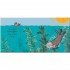 Nosy Crow Emma Dodd Animal Series