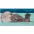 Nosy Crow Emma Dodd Animal Series
