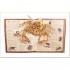 Walker Books Bugs: A Pop-up Journey into the World of InsectsSpiders and Creepy-crawlies