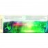Scholastic Harry Potter: The Wand Chooses the Wizard