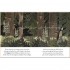 Orchard Books The Wolf's Secret