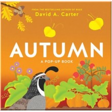 Abrams Appleseed Autumn: A Pop-up Book