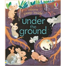 Usborne Peep Inside Under the Ground