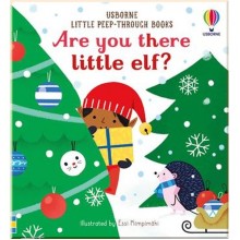 Usborne Are You There Little Elf?