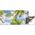 Usborne Pop-Up Butterflies
