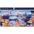 Usborne Look inside a Coral Reef