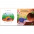 Usborne Incy Wincy Spider