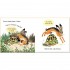 Usborne The Hare and the Tortoise