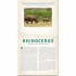 Workman Wild: A Photicular Book