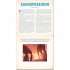 Workman Dinosaur: A Photicular Book