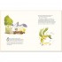Macmillan Children's Books Moominvalley: The Last Dragon in Moominvalley