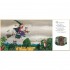 Macmillan Children's Books Room on the Broom (20th Anniversary Edition)