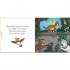 Campbell Books Katie the Kitten
