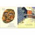 Macmillan Children's Books Robin Robin