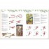 GMC Publications Wild Days: Outdoor Play for Young Adventurers