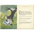Studio Press Alice in Wonderland