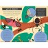 Nosy Crow National Trust: Out and About: Minibeast Explorer