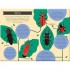 Nosy Crow National Trust: Out and About: Minibeast Explorer