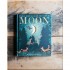 Little Tiger Press Moon: Night-time around the World