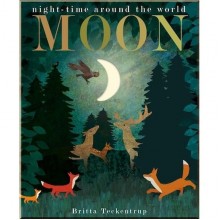 Little Tiger Press Moon: Night-time around the World
