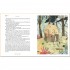 Arcturus Peter Pan (Slipcase Edition)