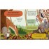 Arcturus Let's Explore! Woodland Creatures