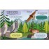 Arcturus Let's Explore! Woodland Creatures