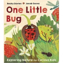Little Tiger Press One Little Bug