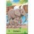 Usborne Zoo Snap