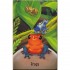 Usborne Zoo Snap
