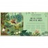 Little Tiger Press A Collection Of Amazing Idioms From Around The World: What a Wonderful Phrase