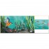 Nosy Crow Big Outdoors for Little Explorers: River