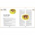 Frances Lincoln Children's Books A Year Full of Stories