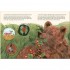 Britannica Books 5-Minute Really True Stories for Bedtime