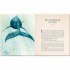 Welbeck Robert Ingpen Illustrated Classics, Just So Stories