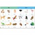My Big English Picture Dictionary b small 