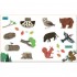 b small Little Observers: Forest Sticker Book