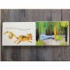 iSeek Flippy Floppy Lift the Flap Fun! Jungle Animals