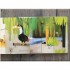 iSeek Flippy Floppy Lift the Flap Fun! Jungle Animals