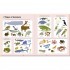 Twirl Books Do You Know? Animals of Land, Sea, and Air